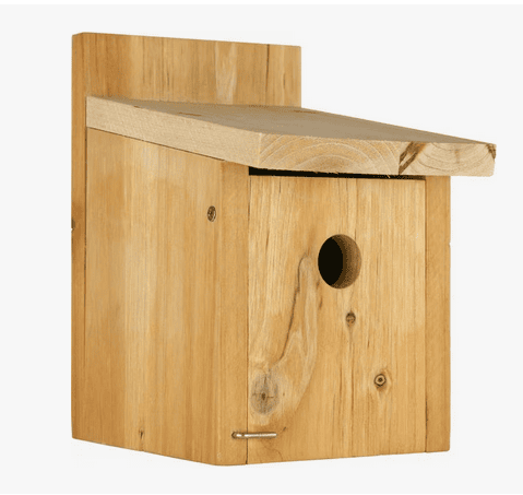 birdbox large