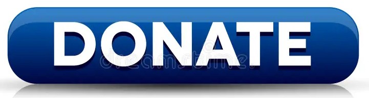 a blue rectangular button with the word "donate" in bold white capital letters.