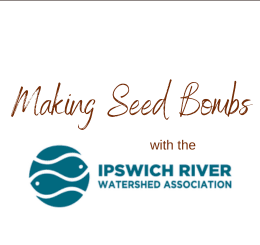 a pile of soil covered seed bombs on a blue surface next to text that reads “making seed bombs with the ipswich river watershed association.”.