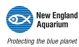 logo of the new england aquarium featuring a stylized fish inside a blue circle with horizontal stripes, accompanied by the text “protecting the blue planet.”.