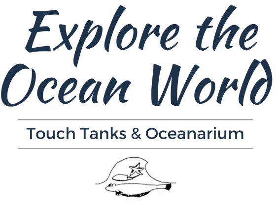 text reads: "explore the ocean world. touch tanks & oceanarium." below is a simple drawing of a fish with a starfish on its back.